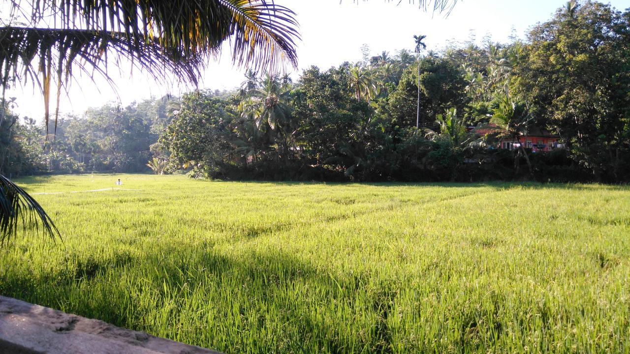 Villa Paddy Fields View Mirissa Buitenkant foto